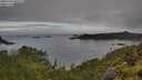 ./images/calvert/foggy-cove/20250706/foggy-cove20250706_081008M.jpg