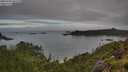 ./images/calvert/foggy-cove/20250706/foggy-cove20250706_081510M.jpg