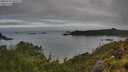 ./images/calvert/foggy-cove/20250706/foggy-cove20250706_082010M.jpg