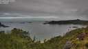 ./images/calvert/foggy-cove/20250706/foggy-cove20250706_082509M.jpg
