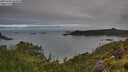./images/calvert/foggy-cove/20250706/foggy-cove20250706_083010M.jpg