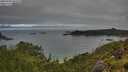./images/calvert/foggy-cove/20250706/foggy-cove20250706_083510M.jpg