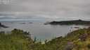 ./images/calvert/foggy-cove/20250706/foggy-cove20250706_091010M.jpg