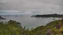 ./images/calvert/foggy-cove/20250706/foggy-cove20250706_091510M.jpg