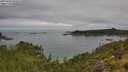 ./images/calvert/foggy-cove/20250706/foggy-cove20250706_092008M.jpg
