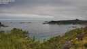 ./images/calvert/foggy-cove/20250706/foggy-cove20250706_092509M.jpg