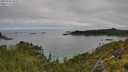 ./images/calvert/foggy-cove/20250706/foggy-cove20250706_093509M.jpg