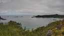 ./images/calvert/foggy-cove/20250706/foggy-cove20250706_094010M.jpg