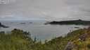./images/calvert/foggy-cove/20250706/foggy-cove20250706_094509M.jpg