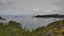./images/calvert/foggy-cove/20250706/foggy-cove20250706_095011M.jpg