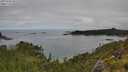 ./images/calvert/foggy-cove/20250706/foggy-cove20250706_095510M.jpg