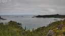 ./images/calvert/foggy-cove/20250706/foggy-cove20250706_100011M.jpg