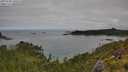 ./images/calvert/foggy-cove/20250706/foggy-cove20250706_100505M.jpg