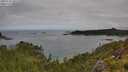 ./images/calvert/foggy-cove/20250706/foggy-cove20250706_101508M.jpg
