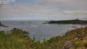 ./images/calvert/foggy-cove/20250706/foggy-cove20250706_102011M.jpg