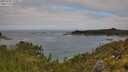 ./images/calvert/foggy-cove/20250706/foggy-cove20250706_103011M.jpg