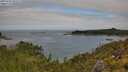 ./images/calvert/foggy-cove/20250706/foggy-cove20250706_103509M.jpg
