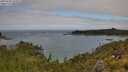 ./images/calvert/foggy-cove/20250706/foggy-cove20250706_104509M.jpg