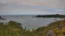./images/calvert/foggy-cove/20250706/foggy-cove20250706_105509M.jpg