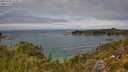 ./images/calvert/foggy-cove/20250706/foggy-cove20250706_133011M.jpg