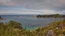 ./images/calvert/foggy-cove/20250706/foggy-cove20250706_135509M.jpg