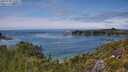 ./images/calvert/foggy-cove/20250706/foggy-cove20250706_144009M.jpg
