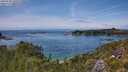 ./images/calvert/foggy-cove/20250706/foggy-cove20250706_145010M.jpg
