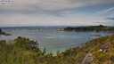 ./images/calvert/foggy-cove/20250706/foggy-cove20250706_151509M.jpg