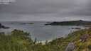 ./images/calvert/foggy-cove/20250707/foggy-cove20250707_062510M.jpg