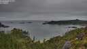 ./images/calvert/foggy-cove/20250707/foggy-cove20250707_063008M.jpg
