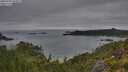 ./images/calvert/foggy-cove/20250707/foggy-cove20250707_064509M.jpg