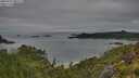 ./images/calvert/foggy-cove/20250707/foggy-cove20250707_065509M.jpg