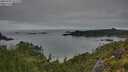 ./images/calvert/foggy-cove/20250707/foggy-cove20250707_071510M.jpg