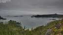 ./images/calvert/foggy-cove/20250707/foggy-cove20250707_073009M.jpg