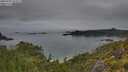 ./images/calvert/foggy-cove/20250707/foggy-cove20250707_073509M.jpg