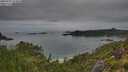 ./images/calvert/foggy-cove/20250707/foggy-cove20250707_074011M.jpg