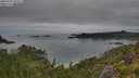 ./images/calvert/foggy-cove/20250707/foggy-cove20250707_074509M.jpg