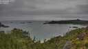 ./images/calvert/foggy-cove/20250707/foggy-cove20250707_081510M.jpg