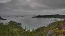 ./images/calvert/foggy-cove/20250707/foggy-cove20250707_083509M.jpg