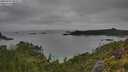 ./images/calvert/foggy-cove/20250707/foggy-cove20250707_084511M.jpg