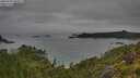 ./images/calvert/foggy-cove/20250707/foggy-cove20250707_090509M.jpg