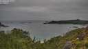 ./images/calvert/foggy-cove/20250707/foggy-cove20250707_091510M.jpg