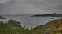 ./images/calvert/foggy-cove/20250707/foggy-cove20250707_093011M.jpg