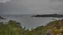 ./images/calvert/foggy-cove/20250707/foggy-cove20250707_095510M.jpg