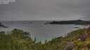 ./images/calvert/foggy-cove/20250707/foggy-cove20250707_103509M.jpg