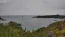 ./images/calvert/foggy-cove/20250707/foggy-cove20250707_105510M.jpg