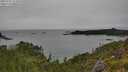 ./images/calvert/foggy-cove/20250707/foggy-cove20250707_115011M.jpg