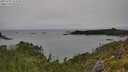 ./images/calvert/foggy-cove/20250707/foggy-cove20250707_115510M.jpg