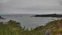 ./images/calvert/foggy-cove/20250707/foggy-cove20250707_121511M.jpg