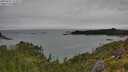 ./images/calvert/foggy-cove/20250707/foggy-cove20250707_122009M.jpg